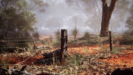 a wooden fence post with barbed wire runs through a misty australian outback landscape.