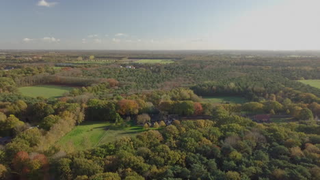 aerial drone shot of flying over the great forest in the netherlands