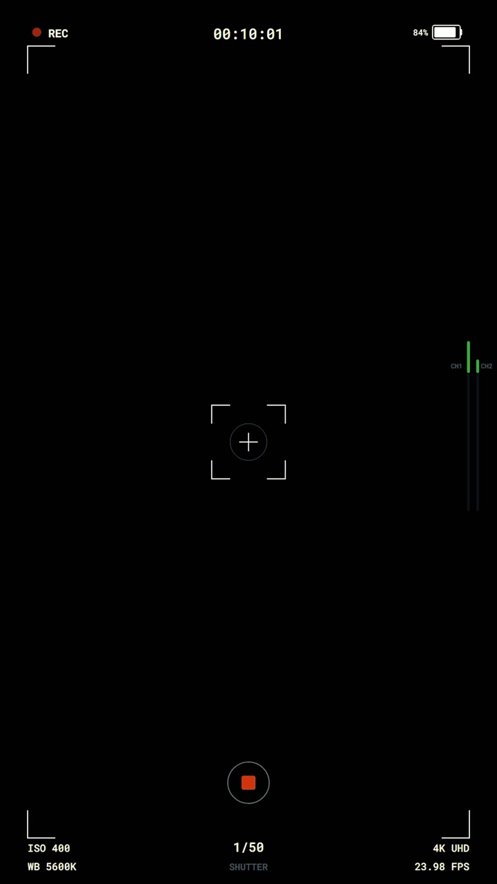 Digital Camera Recording Interface Overlay