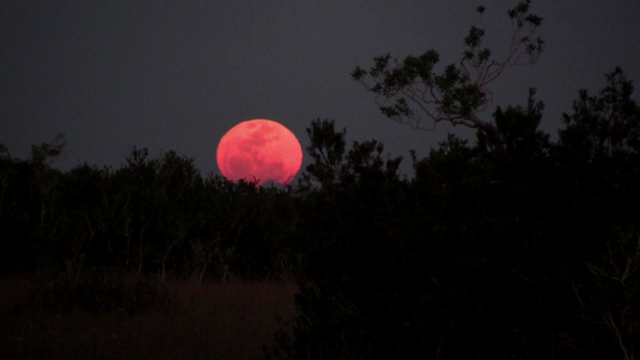 Uma lua laranja nasce atrás de um cume