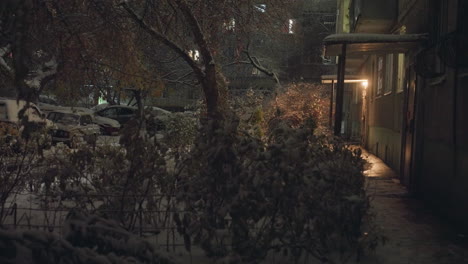 residential building entrance illuminated by warm yellow light, surrounded by snow-covered bushes and parked cars under frosted trees