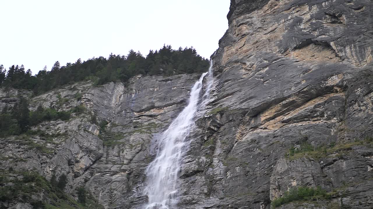 Gigantisk foss med furutrær på toppen som faller ned over steinene på en lys dag i Lauterbrunnen i Sveits. Sakte film-opptak.