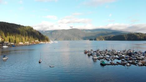varias tomas de drones y dslr en la hermosa cala profunda en vancouver, bc