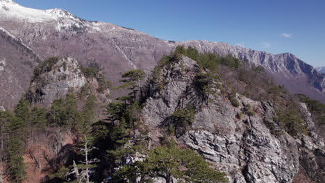 Aerial-view-of-trees-on-top-of-a-mountain