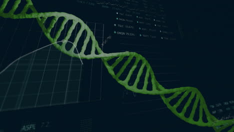 animación de la cadena de adn sobre el procesamiento de datos financieros en fondo negro