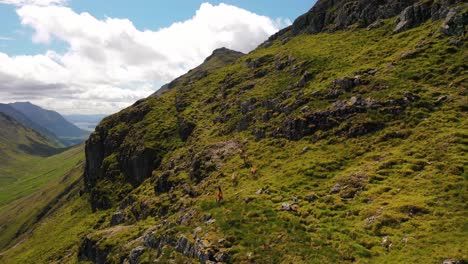 A-Herd-of-Red-Deer-Running-up-Cliffs-in-the-Scottish-Highlands,-Glencoe-Mountains,-Scotland,-United-Kingdom