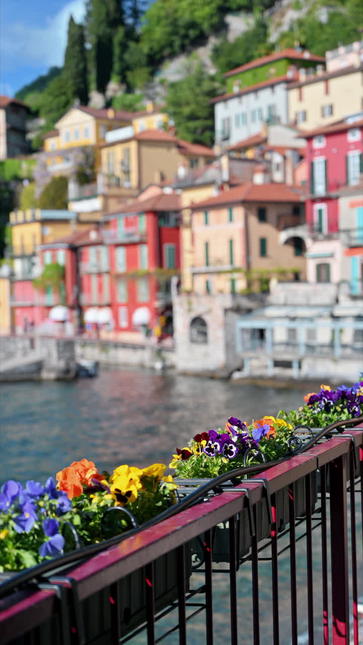 Colourful flowers on a balcony, with a view of houses on the shore of Lake Como. Vertical