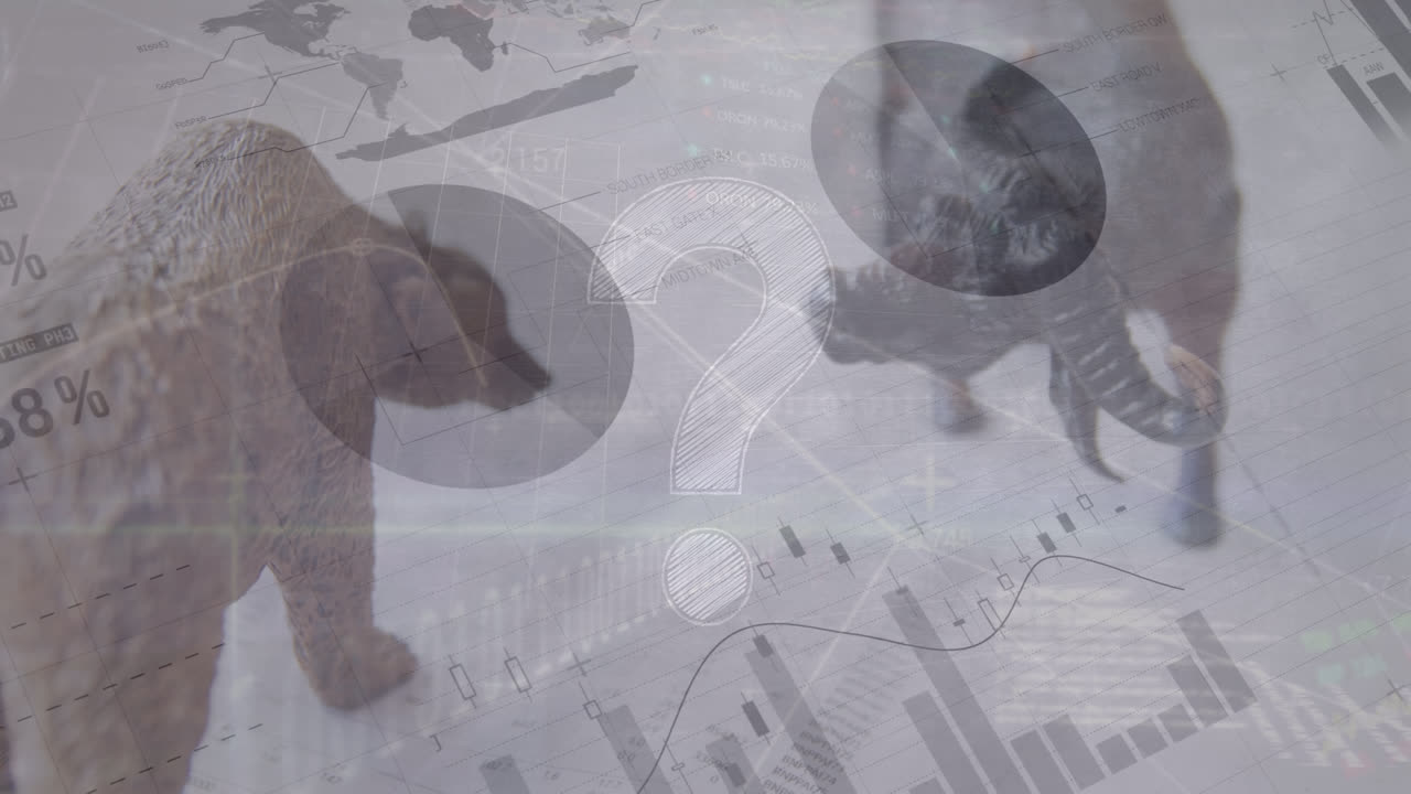 색 배경에 동물 그림 위에 그래프와 금융 데이터의 애니메이션