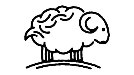 livestock raising sketch line icon animation