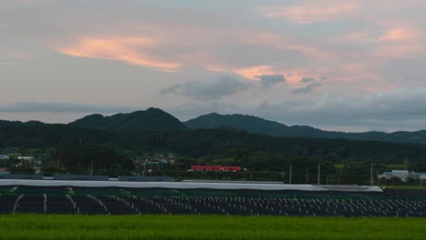 Vista-Panorámica-De-La-Granja-De-Ginseng-Y-Arroz-Con-Colinas-Forestales-En-El-Fondo-Al-Atardecer-En-Geumsan,-Chungcheong,-Corea-Del-Sur