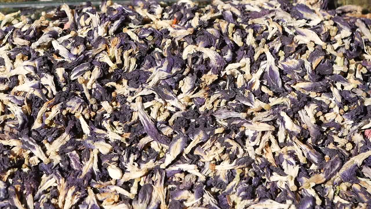 건조 된 나비 콩 꽃