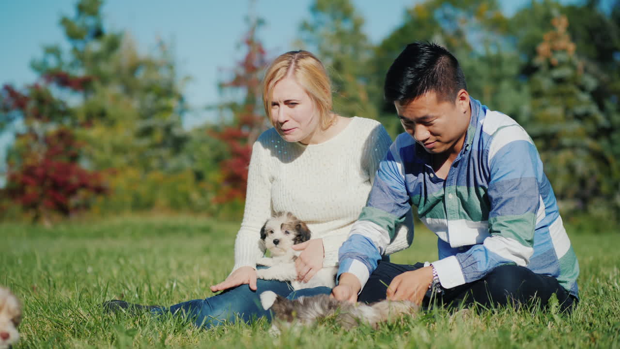 작은 강아지와 남자와 여자