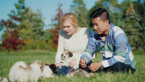 Man-and-Woman-With-Small-Puppies