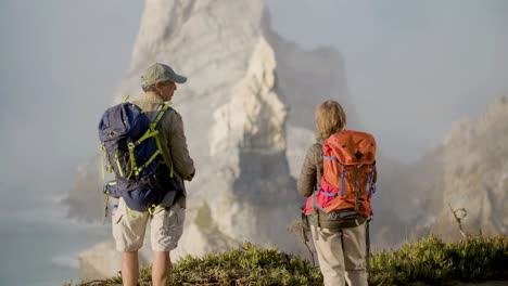 vue arrière de randonneurs seniors se tenant la main et s'embrassant tout en admirant le magnifique paysage