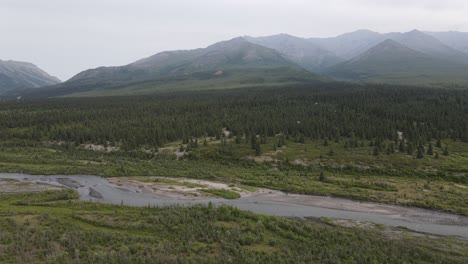 Aerial-View-of-green-forests