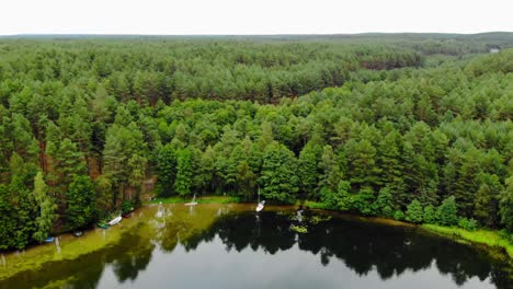 Barcos-Atracados-Por-La-Orilla-Del-Lago-Y-El-Borde-De-Un-Espeso-Bosque-Siempre-Verde-En-Prądzonka-Polonia---Toma-Aérea