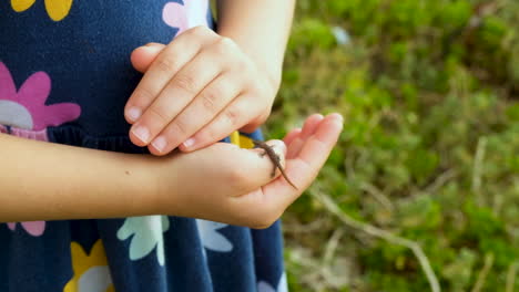 Tiny-gecko-jumps-from-hand-to-hand-of-young-caucasian-girl