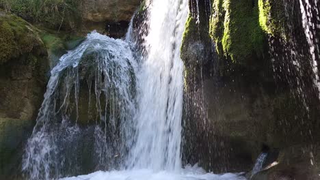 Este-Metraje-Captura-La-Esencia-De-La-Tranquilidad-Natural,-Invitando-A-Los-Espectadores-A-Sumergirse-En-El-Ambiente-Pacífico-Del-Bosque.