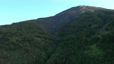 Vista-Aérea-Del-Bosque-Verde-En-La-Montaña-Con-área-Quemada-Debido-A-Incendios-Forestales