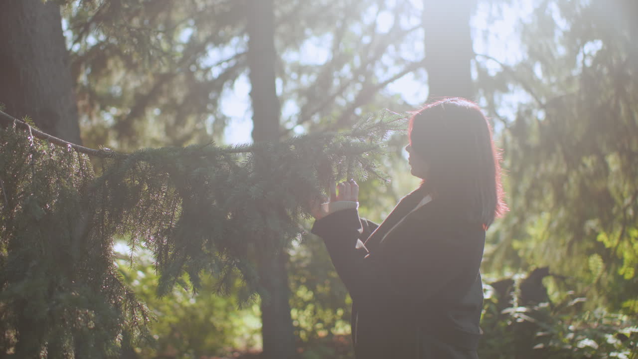 긴 코트를 입은 가을을 사랑하는 사람이 따뜻한 햇볕 아래에서 솔가지에 달린 잎을 부드럽게 잡고 관찰하고 있어요. 부드러운 보케 숲, 차분한 분위기, 평온한 산책 중 자연을 감상하는 순간, 상록수 사이에서 사색에 잠긴 모습이에요.