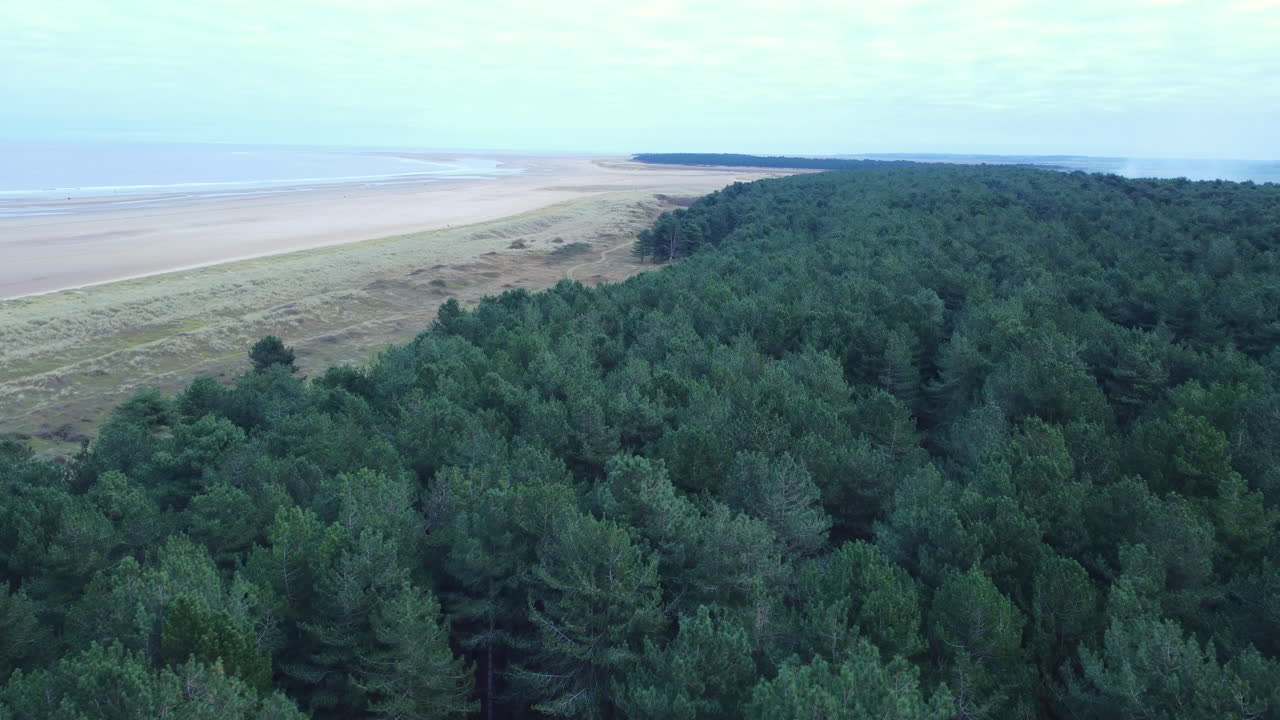 un dron aéreo alto disparó sobre un bosque de pinos junto a una gran playa de arena en el norte de norfolk, reino unido