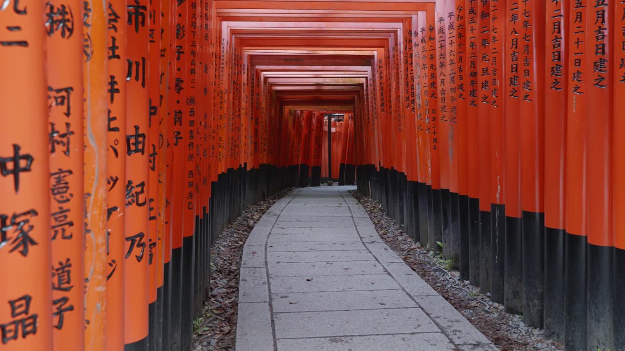 Sentiero di pietra che conduce attraverso porte torii di legno rosse e nere con scritte giapponesi a Fushimi Inari, Taisha, Kyoto, Giappone