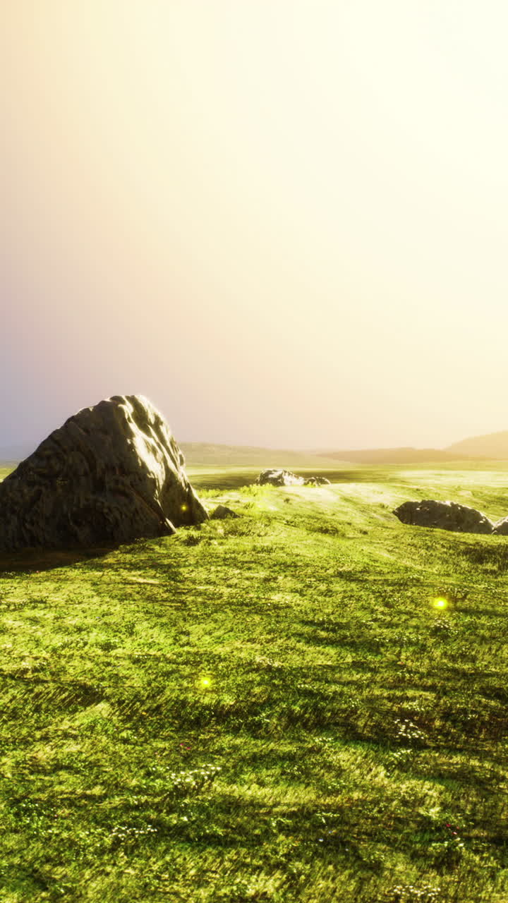 잔디과 해가 지는 아름다운 풍경