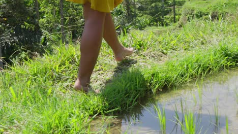 barefoot person walking on grass near water