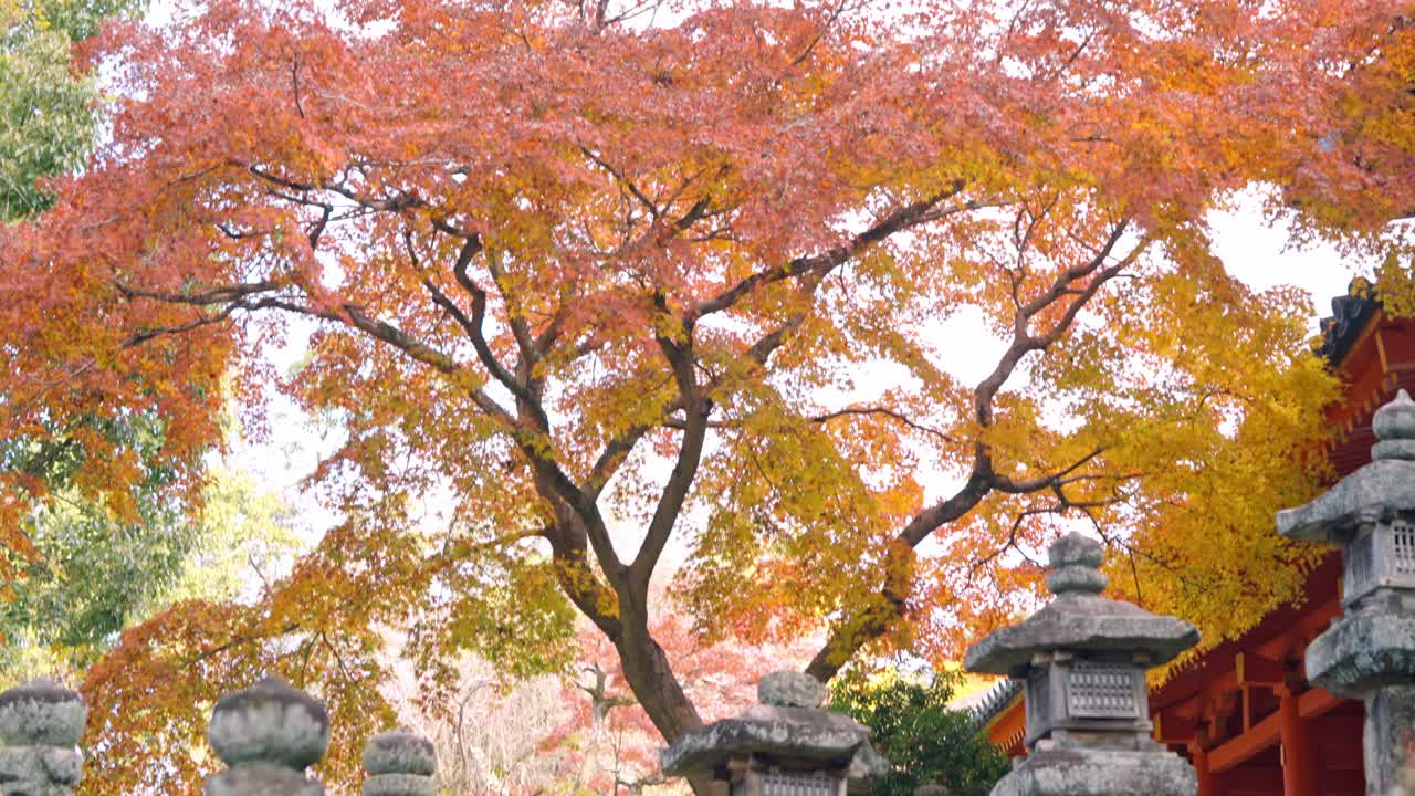 A stunning view of a traditional temple in Nara, Japan, surrounded by vibrant yellow autumn foliage and intricate sculptures.