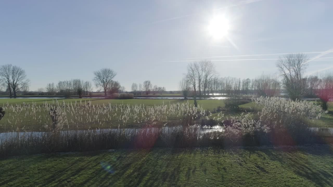 작은 강둑에 있는 농장 땅에 있는 갈대의 느린 측면 샷