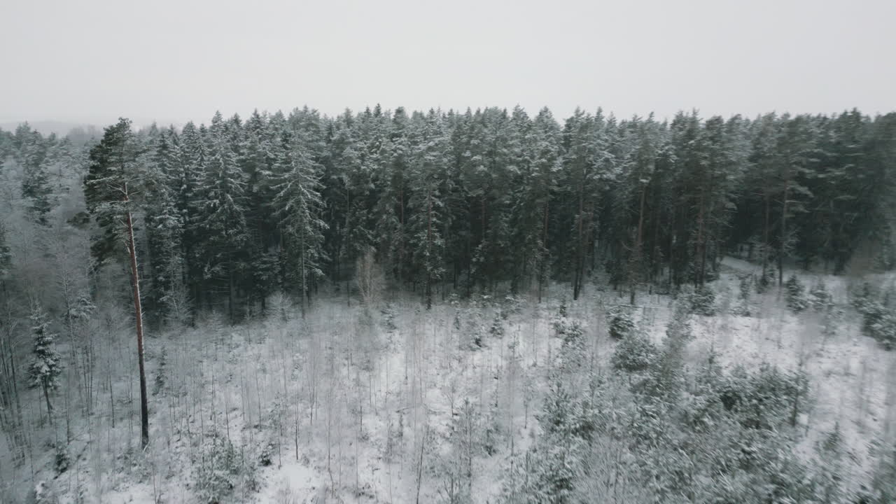 12 월 라트비아의 valdemārpils