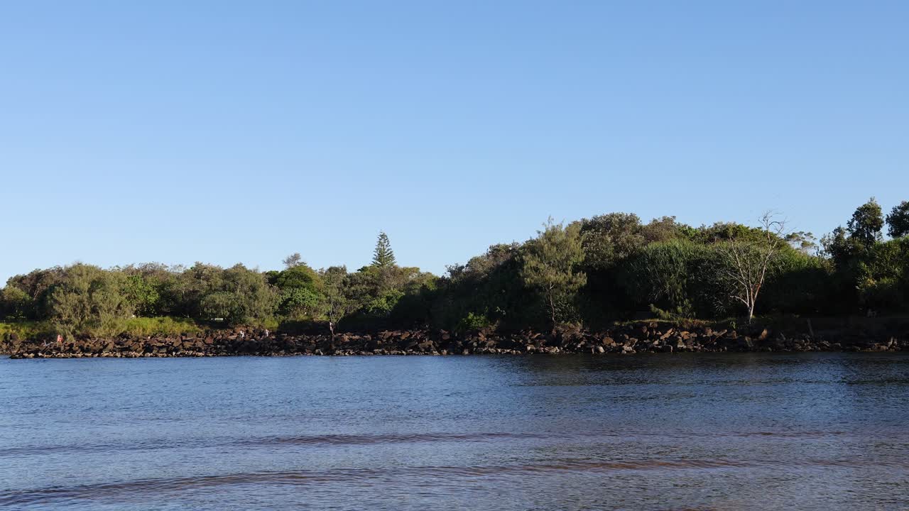 물  의 바위 에 앉아 있는 해파리 들