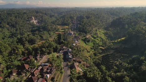 Vista-Aérea-Del-Campo-De-Bali:-Una-Carretera-Rodeada-De-Arrozales---Ubud,-Bali---Indonesia