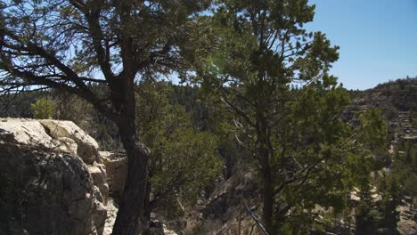 acercándose a los árboles a lo largo de una ruta de senderismo guiada y barandilla en walnut canyon, az