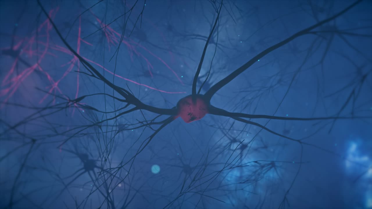 visualización de las neuronas cerebrales
