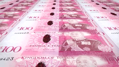 billetes de cien tongan pa'anga de tonga, dinero en efectivo, bucle