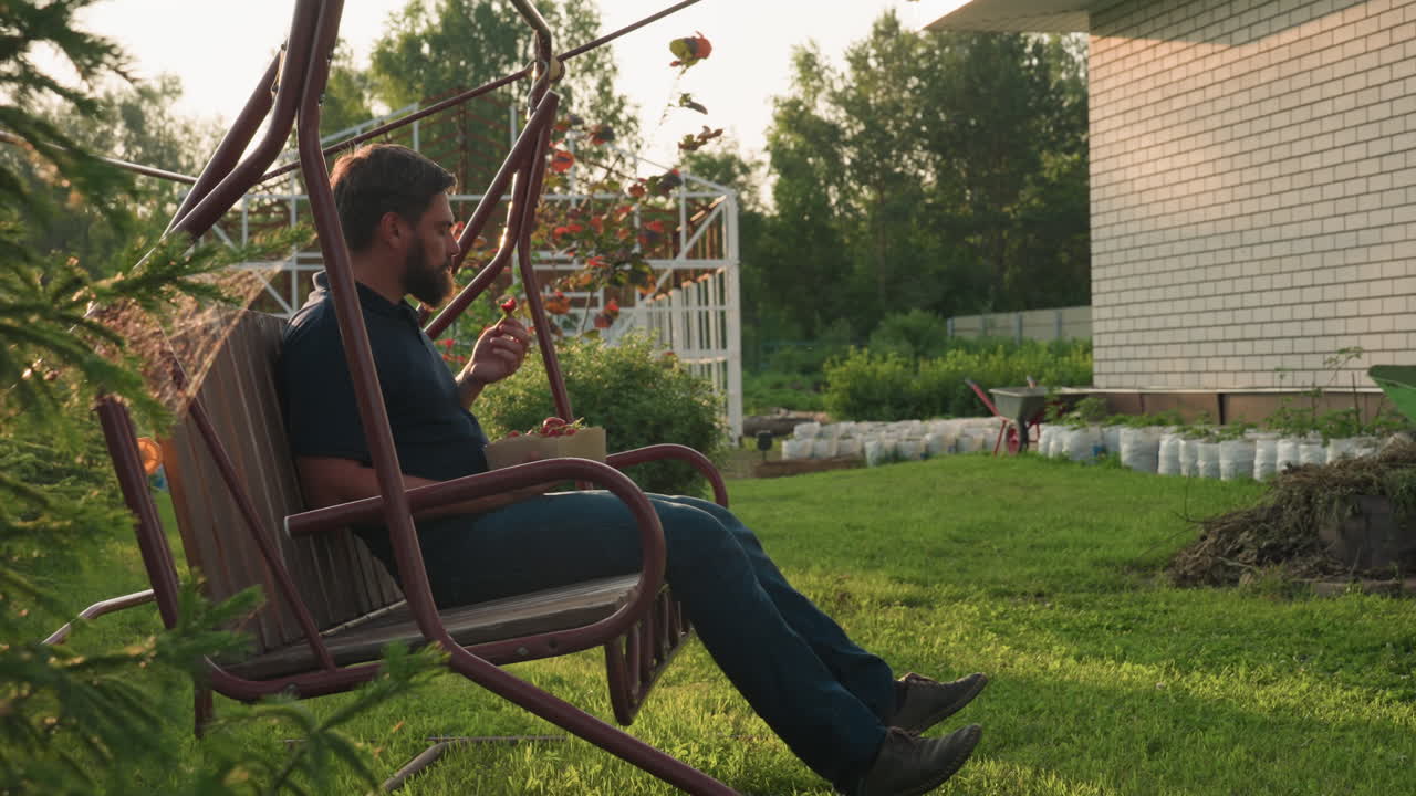warm golden sunlight filters through trees onto man seated on wooden swing bench, enjoying handful of freshly picked strawberries, basking in tranquil orchard ambiance