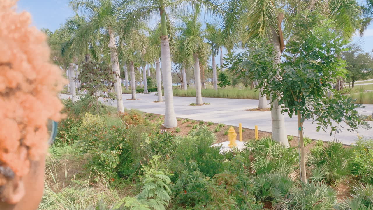 공원에서 사람들을 지켜보고 있는 아프리카계 미국인 여성