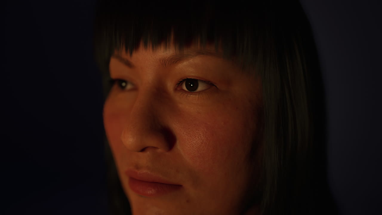 어 ⁇  속의 성인 멕시코 여성 초상화