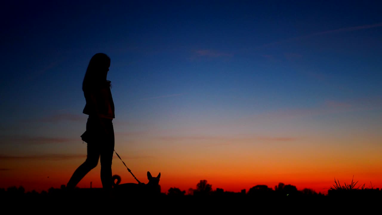 해가 지는 하늘을 배경으로 개와 함께 고 있는 어린 소녀의 실루.