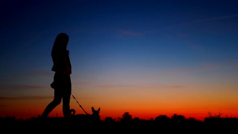 silhouette of a walking young girl with a dog against the sky at sunset.