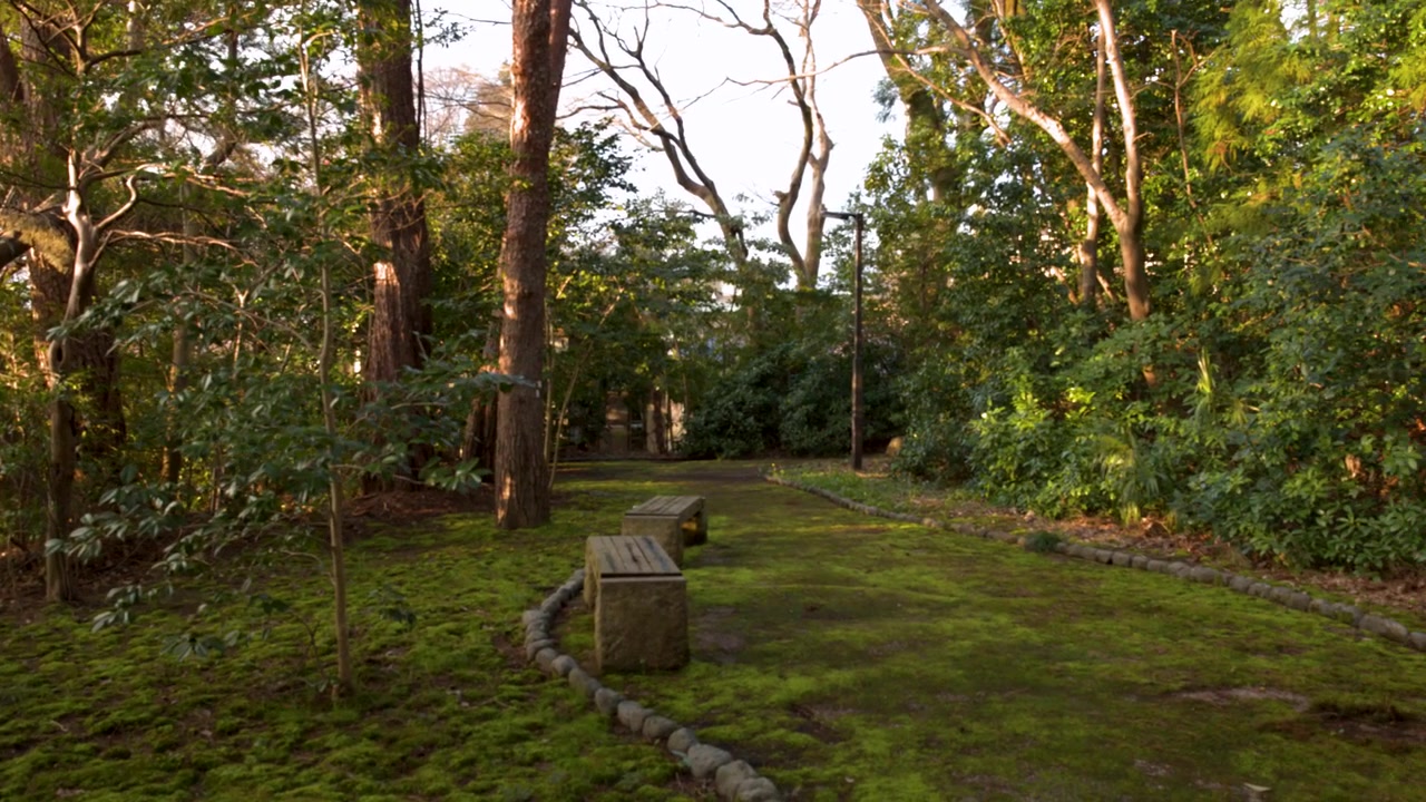 Caminho de jardim sereno com musgo e bancos de pedra ao pôr do sol