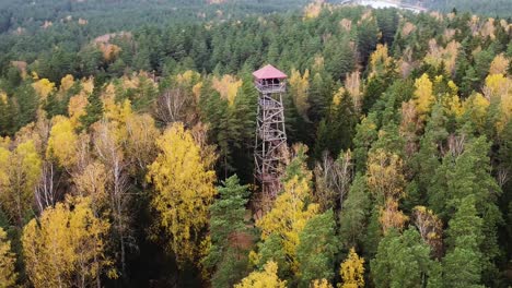 aerial drone view of a viewing tower in a colourful autumn forest