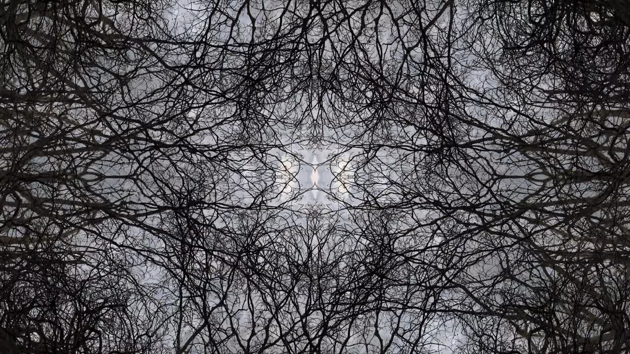 árboles en simetría - en bucle