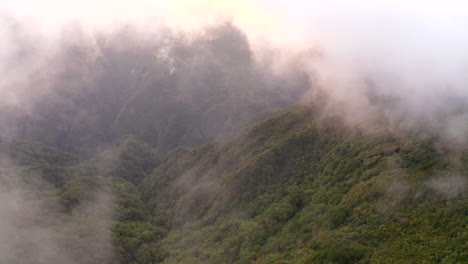 nubes blancas sobre un exuberante bosque verde en las montañas de la isla de madeira en portugal