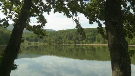 vista de un tranquilo lago boscoso con reflejos de árboles y cielo nublado