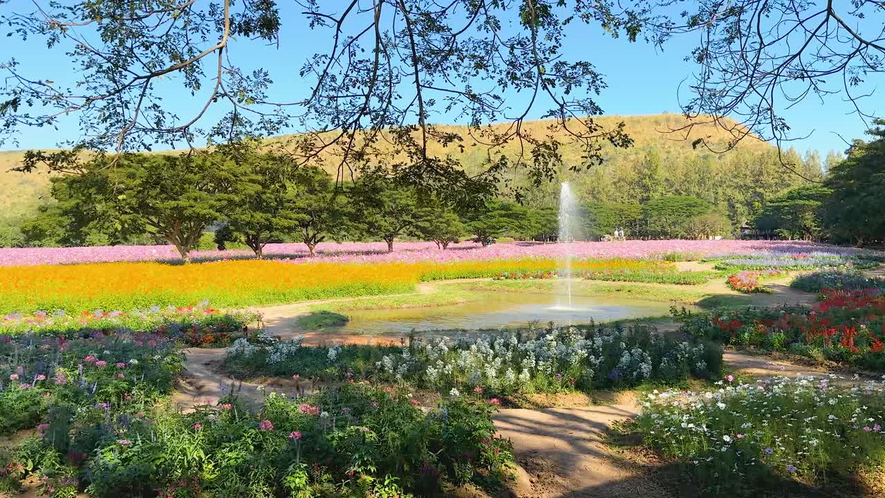 평화로운 정원에서 다채로운 꽃과 분수
