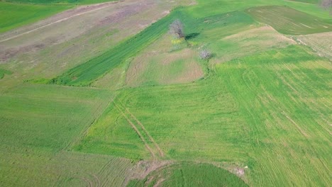 toma aérea sobre campos verdes y colinas con algunos árboles que han florecido