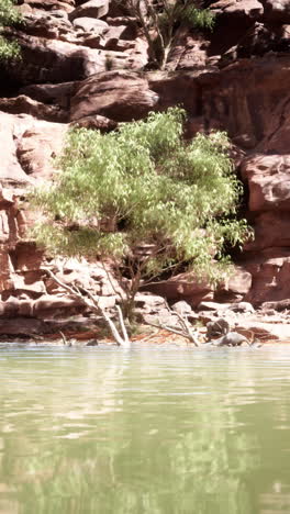 colorado river in grand canyon