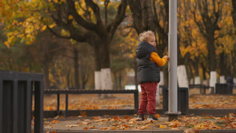 Niño-Gracioso-Está-Caminando-En-El-área-Del-Parque-En-Otoño-Jugando-Con-Un-Poste-De-Luz-De-La-Calle-Un-Niño-Lindo-Está-Explorando-El-Mundo-Infancia-Feliz-Y-Despreocupada